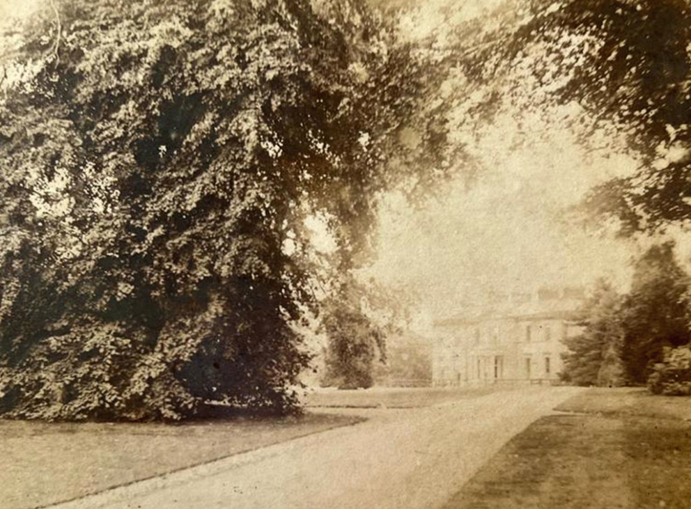 Milne Graden House from West Avenue