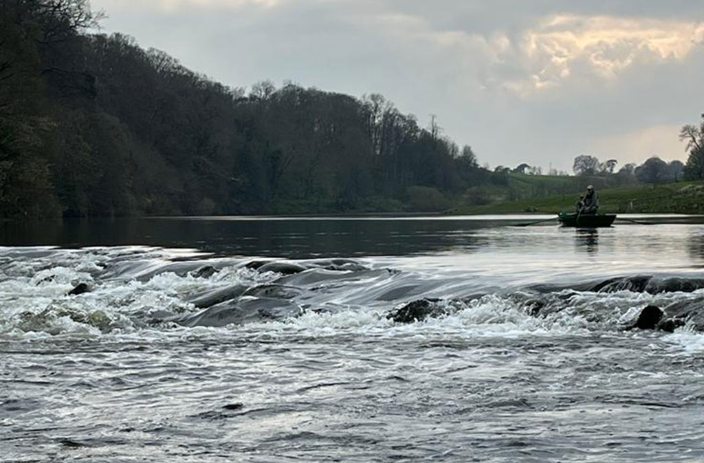 River Tweed view of the Cauld at Milne Graden