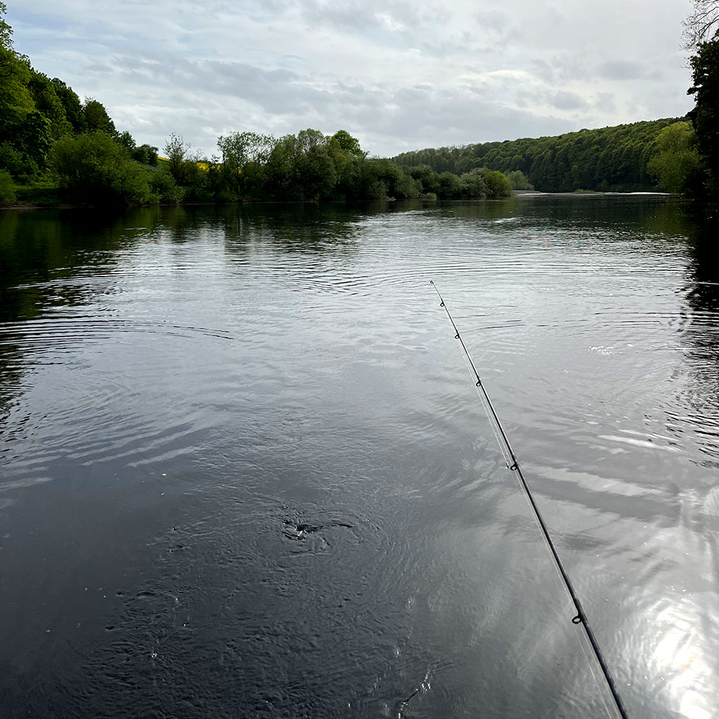 Evening sea trout fishing view from the boat on the river at Milne Graden