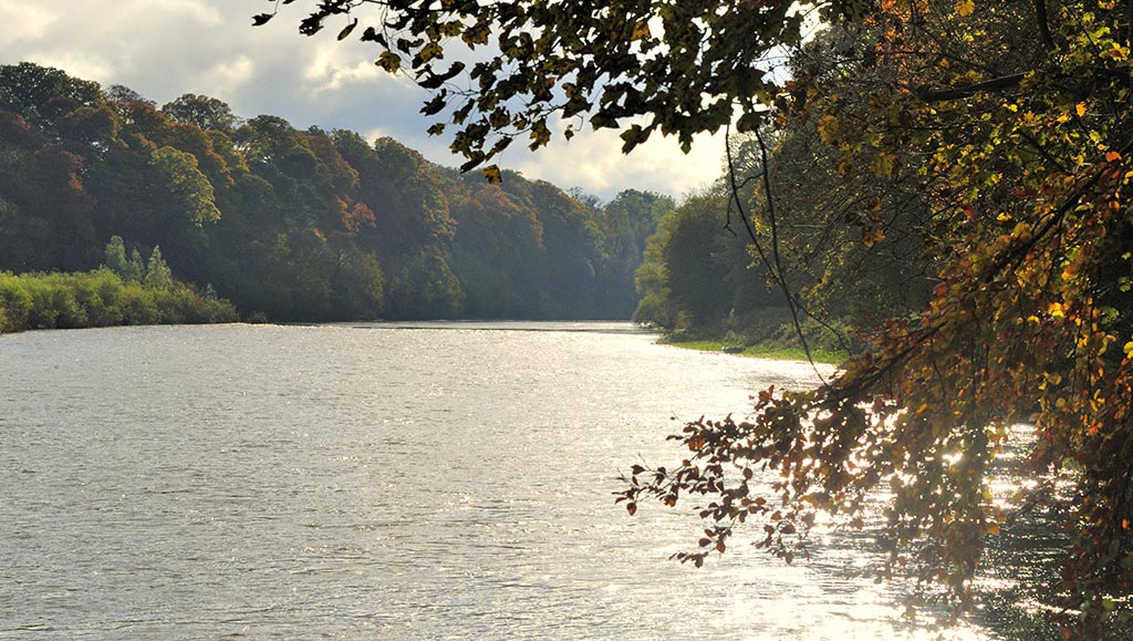 Autumn sunlight over the river Tweed